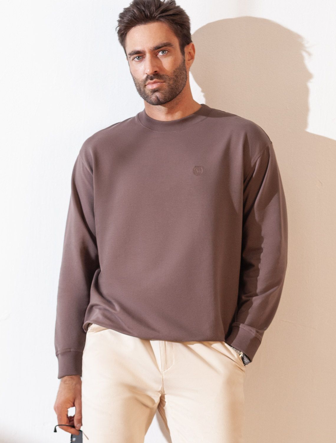 картинка Джемпер мужской кофейный от магазина Одежда+