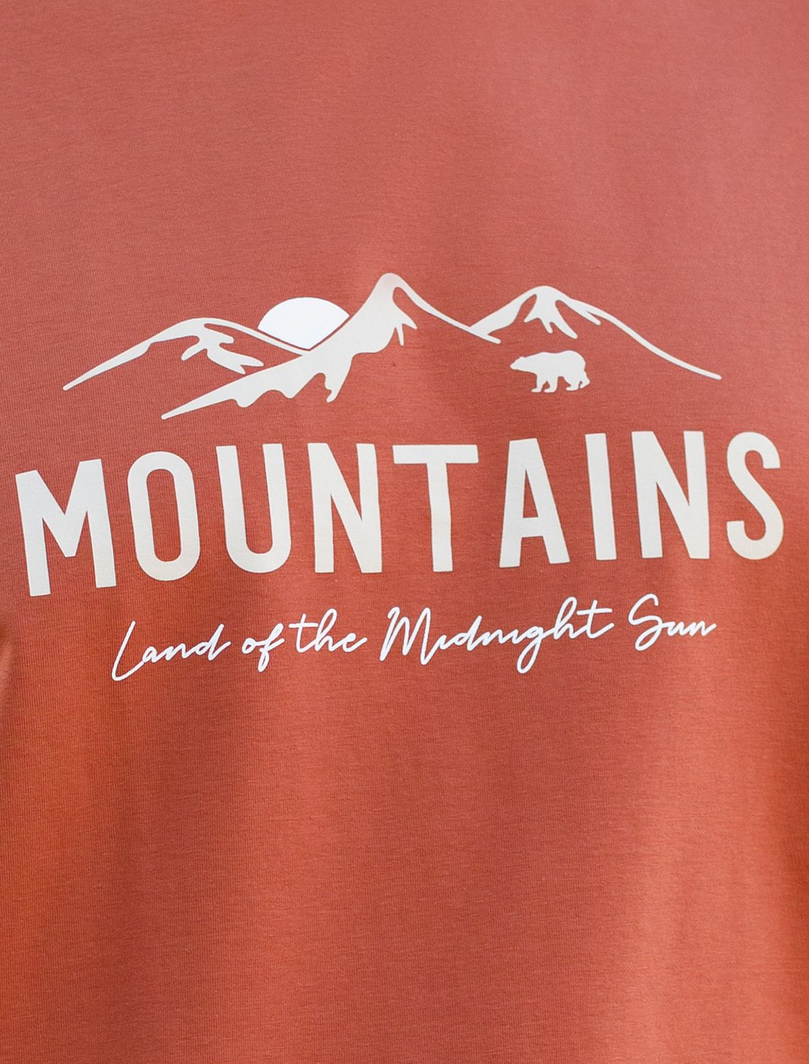 картинка Футболка мужская кирпичный_горы магазин Одежда+ являющийся официальным дистрибьютором в России 