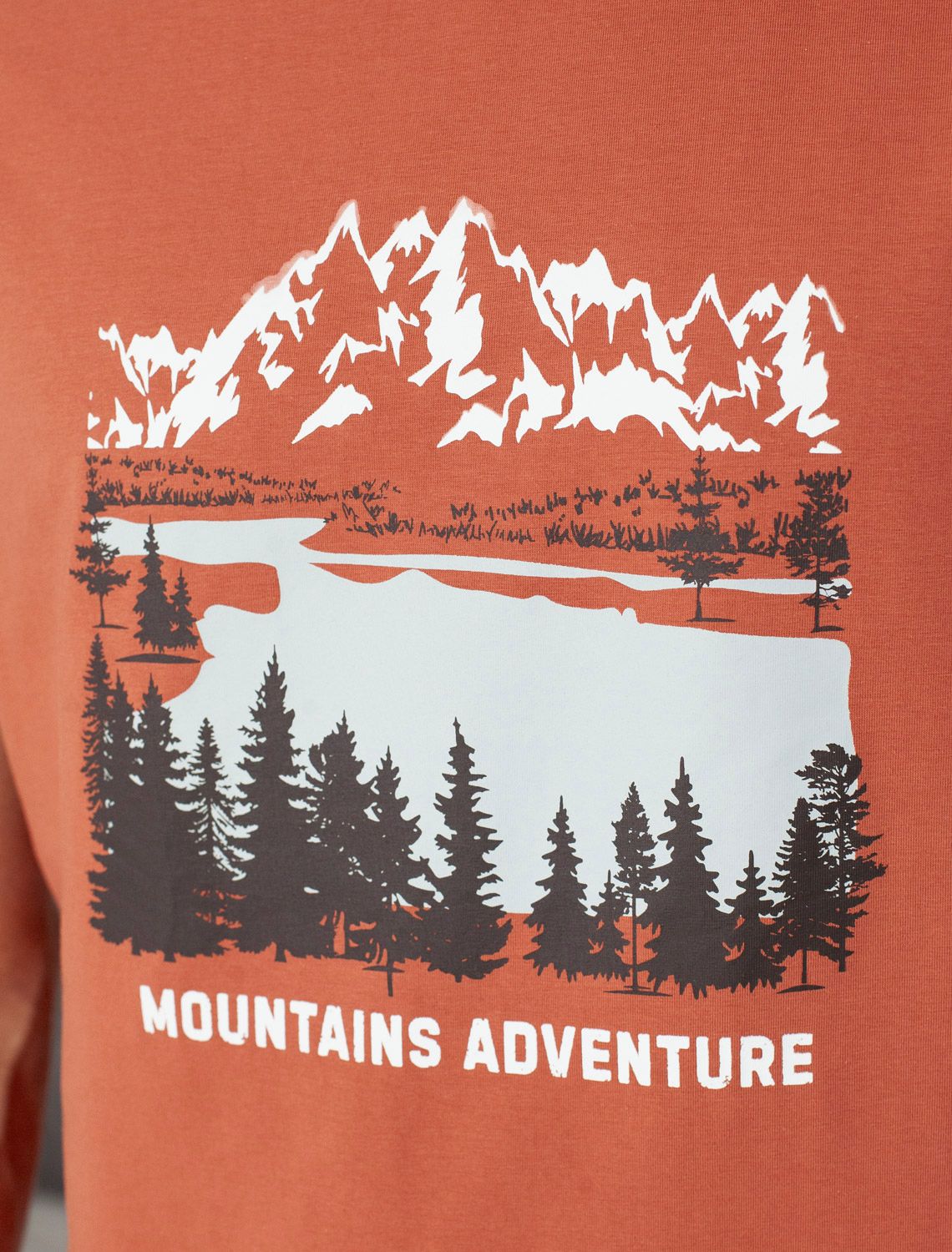 картинка Футболка мужская кирпичный_mountains adventure магазин Одежда+ являющийся официальным дистрибьютором в России 