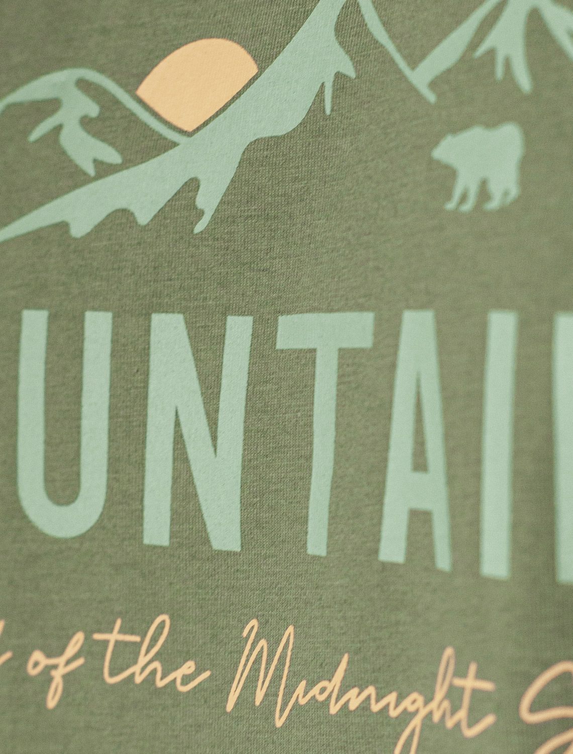 картинка Футболка мужская т.оливковый_горы магазин Одежда+ являющийся официальным дистрибьютором в России 