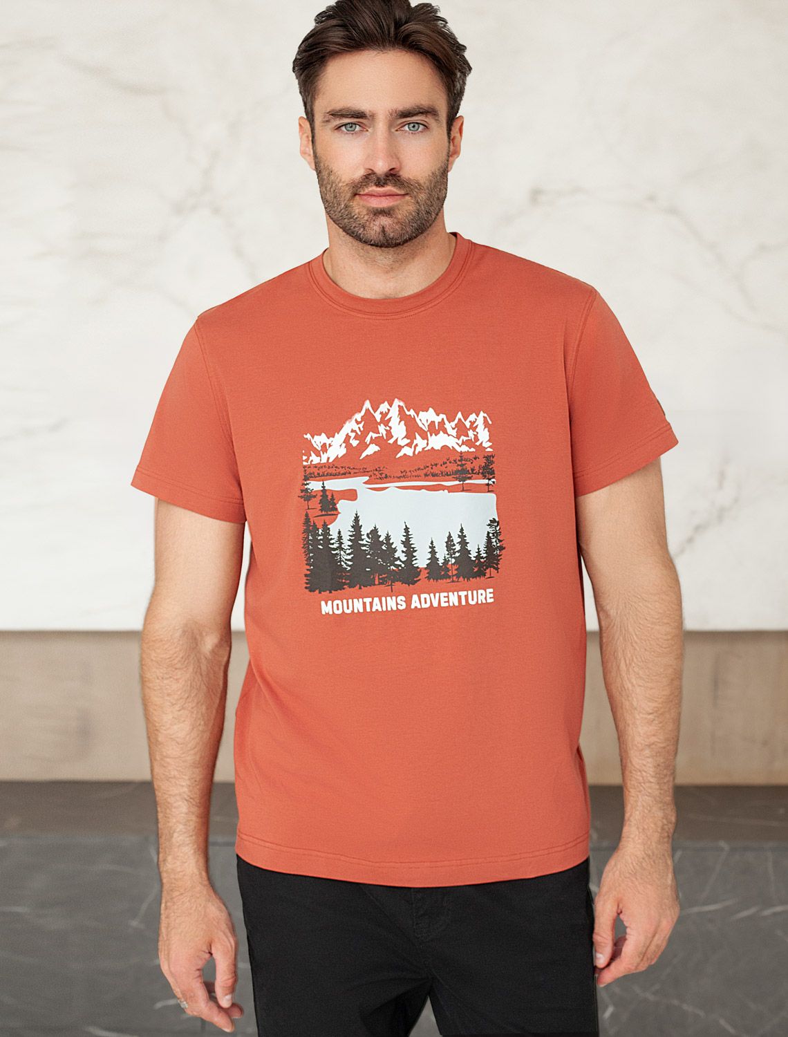 картинка Футболка мужская кирпичный_mountains adventure от магазина Одежда+